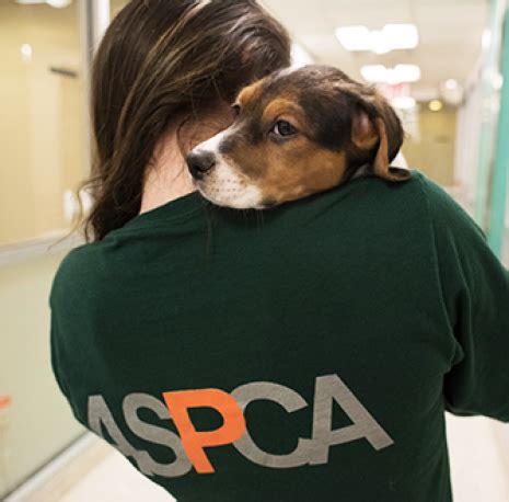 aspca charity rating 2023|American Society for the Prevention of Cruelty to Animals.